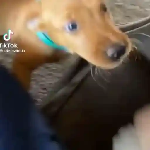 Zzzz 3