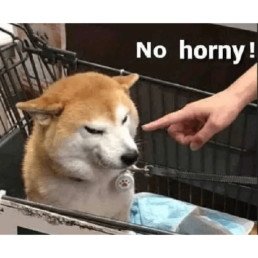 Hornn jail 10
