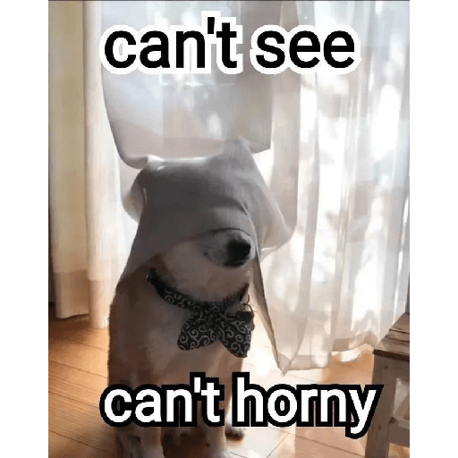 Hornn jail 15