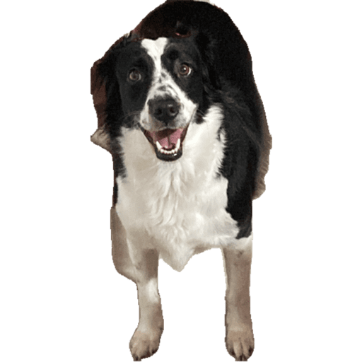 Sticker 5