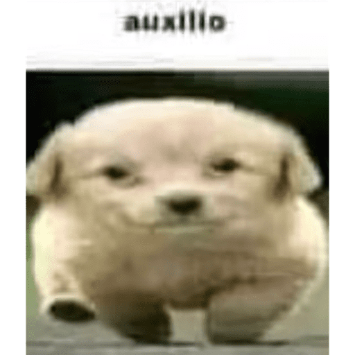 Hola 25