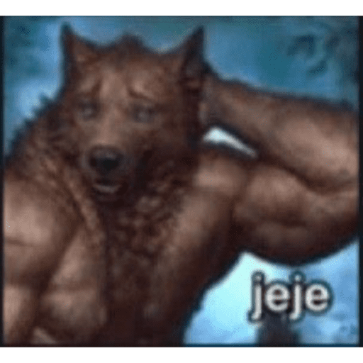 Hola 14