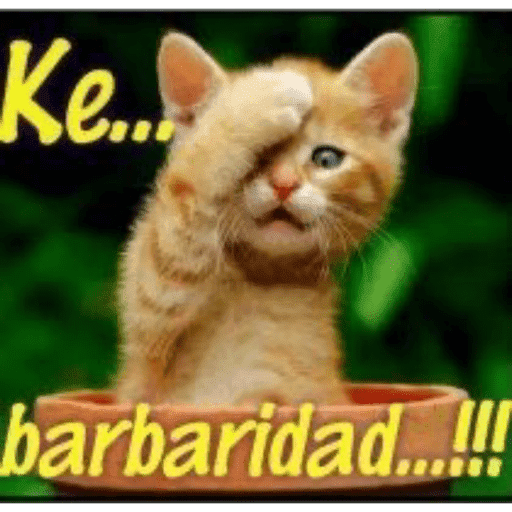 Hola 9