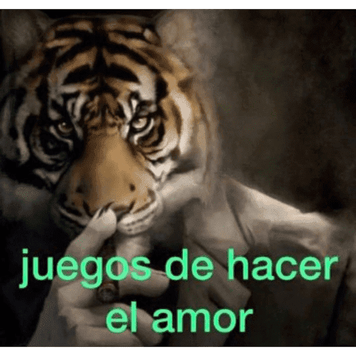 Hola 11