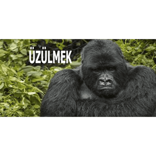 Çıkartmalarım 13
