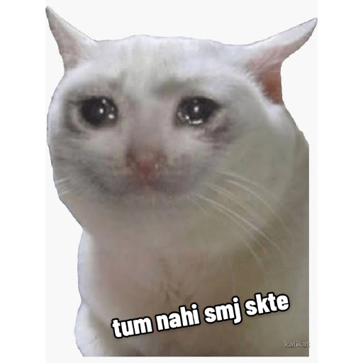 Sticker 5