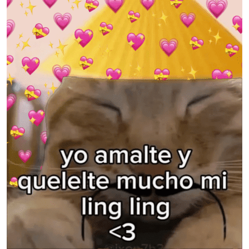 Mis pegatinas 15