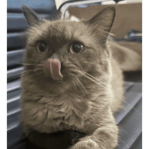 Sticker 8