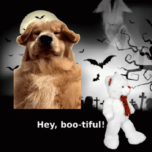 Alex_Doggo_Pack 28