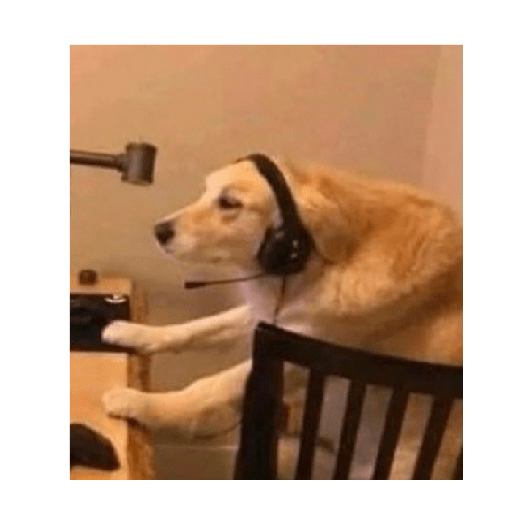 Alex_Doggo_Pack 20