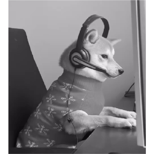 Alex_Doggo_Pack 19