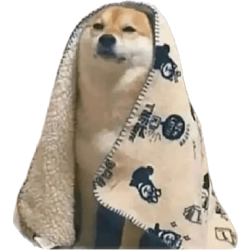 Alex_Doggo_Pack 6