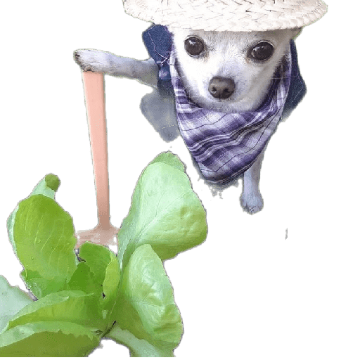 Alex_Doggo_Pack 26