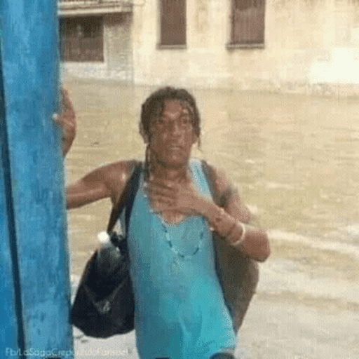 MemesBR 10
