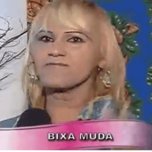 MemesBR 15