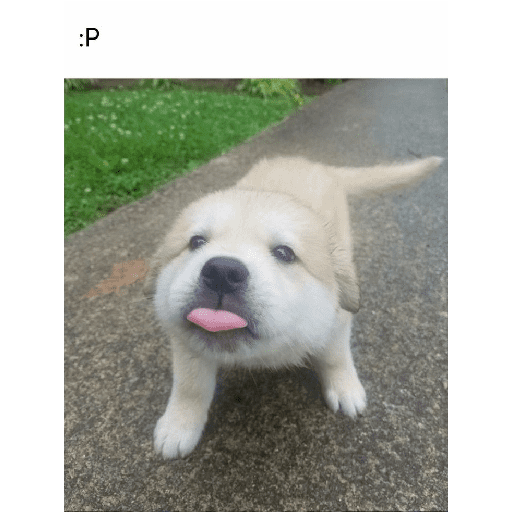- Solo perros 3 27