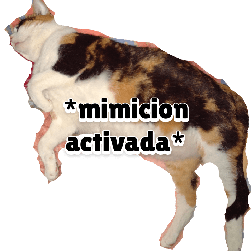 Míos no tuyos 16