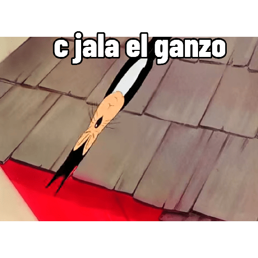 XDDDD 12