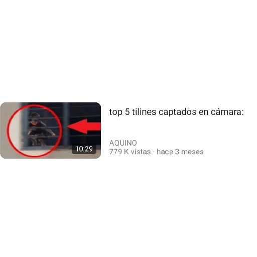 XDDDD 11