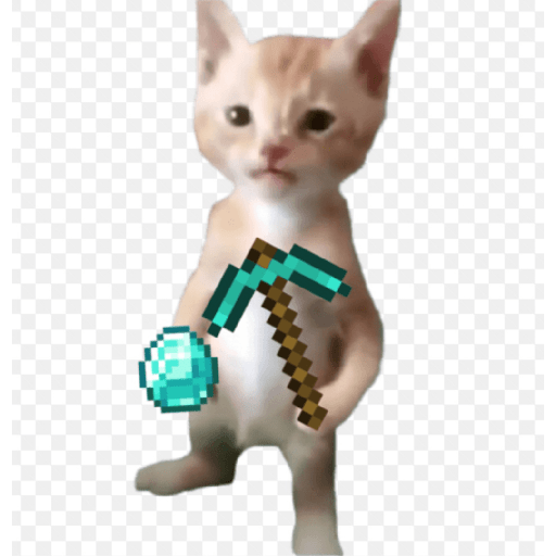 XDDDD 20