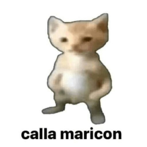 XDDDD 19