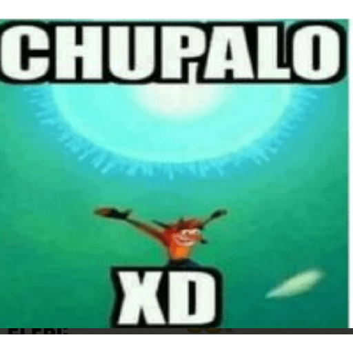 XDDDD 23