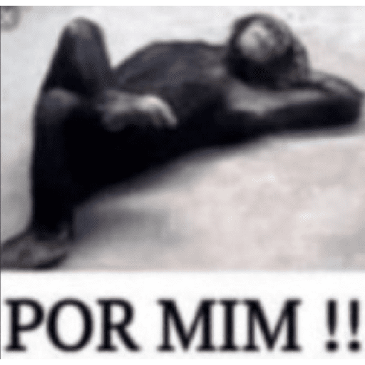 Memes aleatórios  16