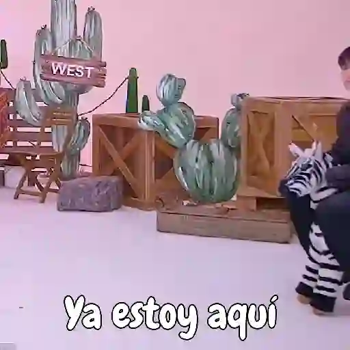 BTS 91 25