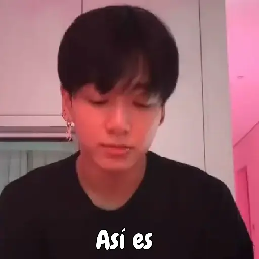 BTS 91 13