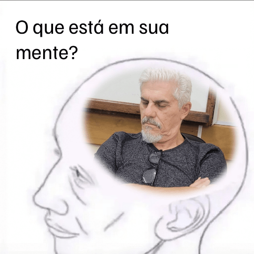Resenha 13