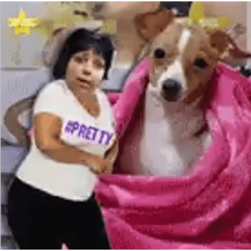Chappell solta essa criança  25
