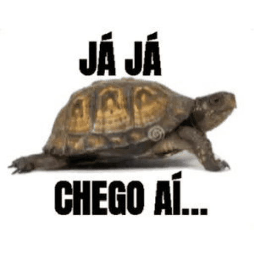 MATHEUS  18