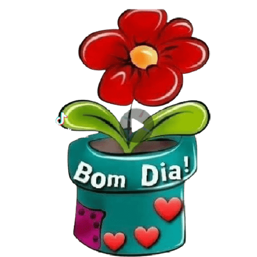Bom dia! 20