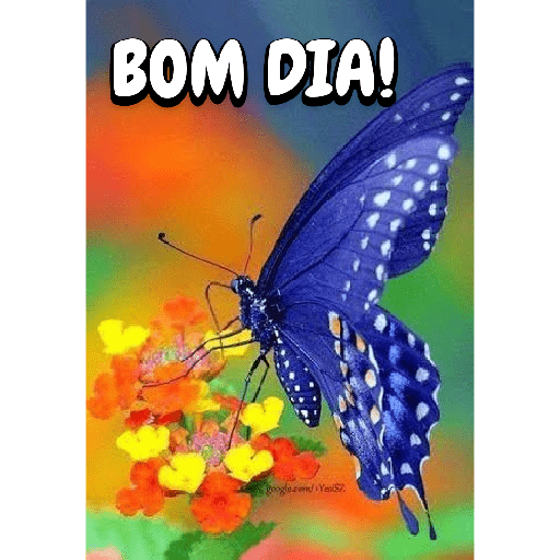 Bom dia! 11
