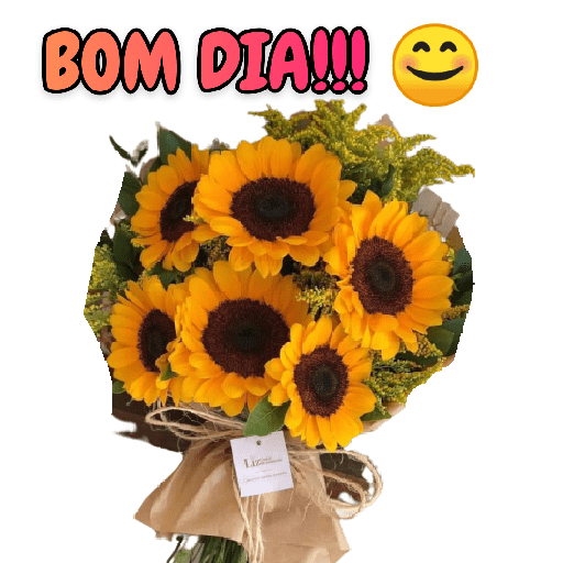 Bom dia! 16