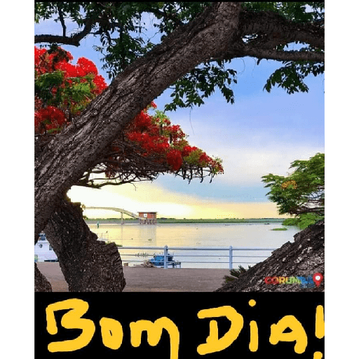 Bom dia! 13