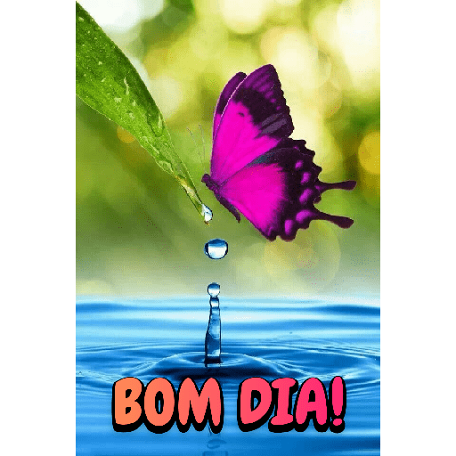 Bom dia! 3