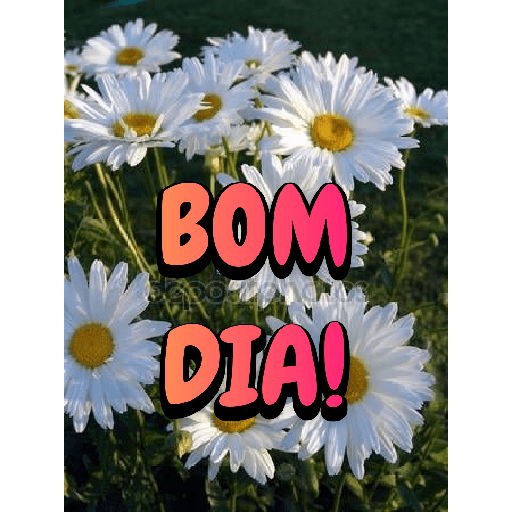 Bom dia! 2