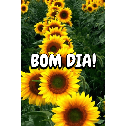 Bom dia! 9