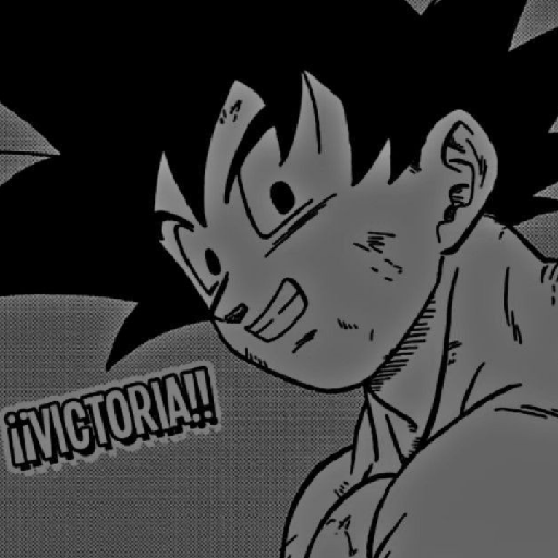 GOKU 9.0 15