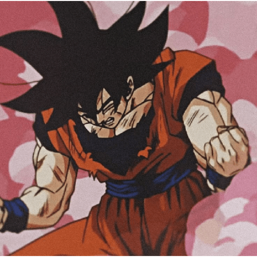 GOKU 9.0 21