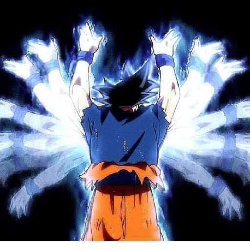 GOKU 9.0 19