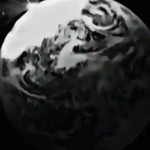 Lo que sea 3