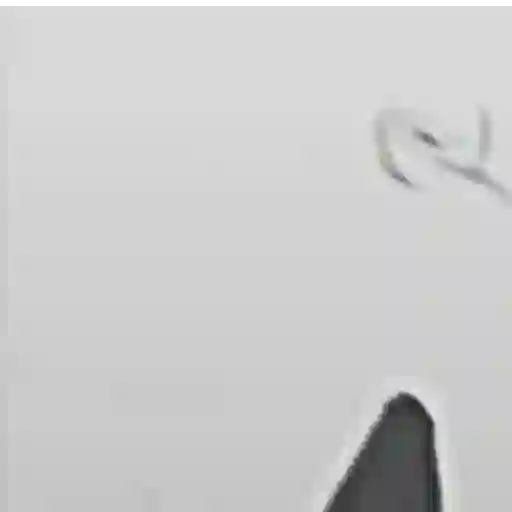 Lo que sea 2