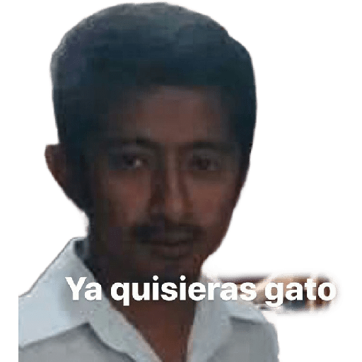 Todo  2