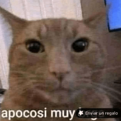 Mis pegatinas 26