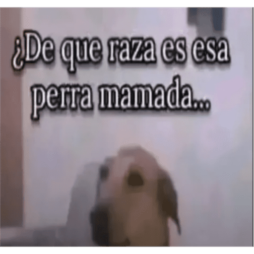 Ok mañana 11
