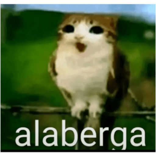 Ok mañana 2