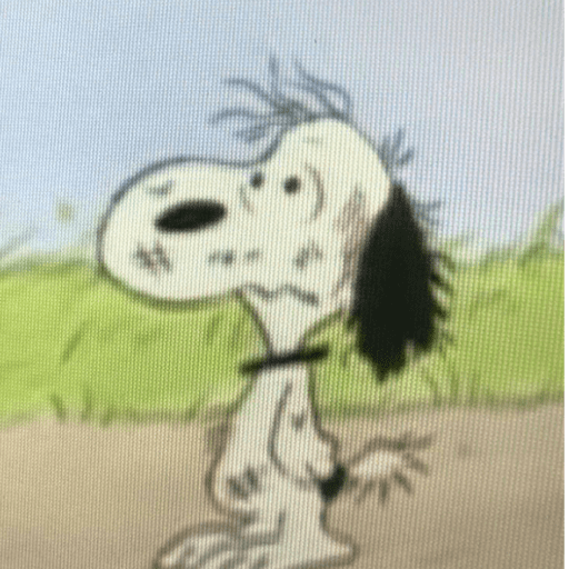 Snoopy 🫩 11