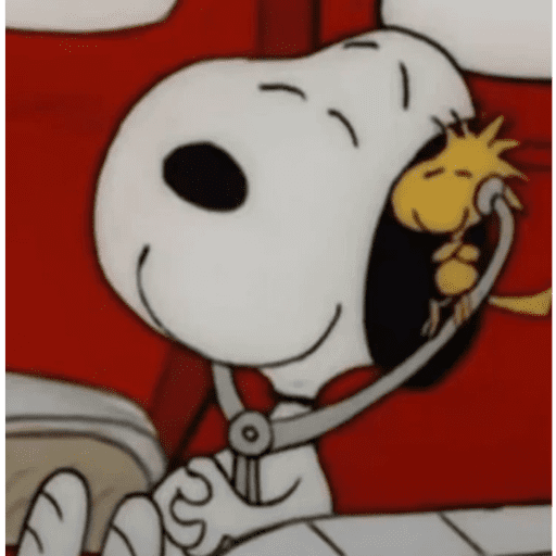 Snoopy 🫩 6